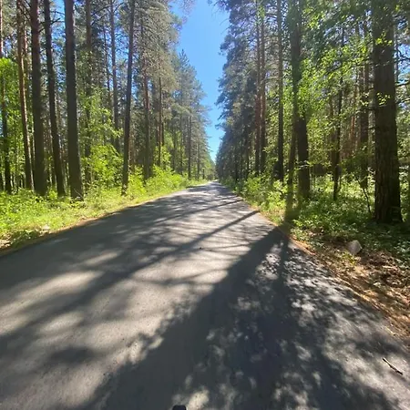 Forest And Lake Borovoe Exterior photo