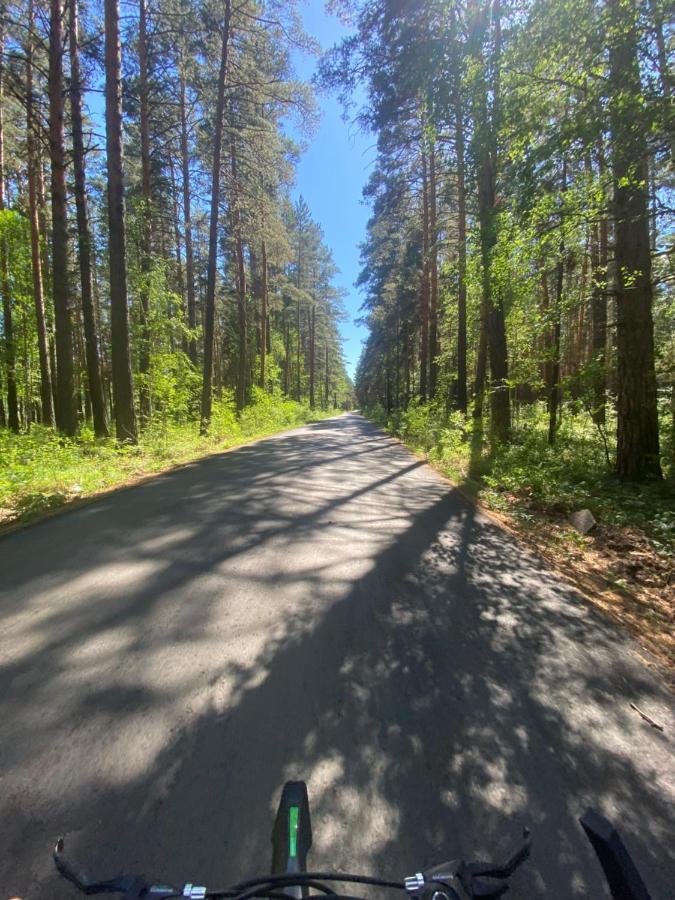 Forest And Holiday home