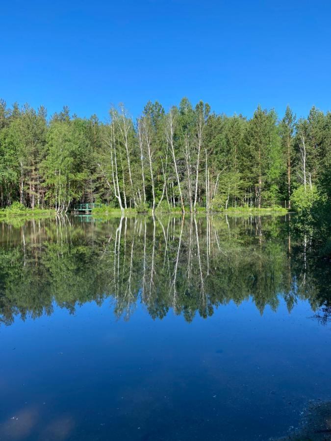 Forest And