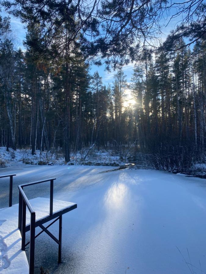 Forest And Holiday home *