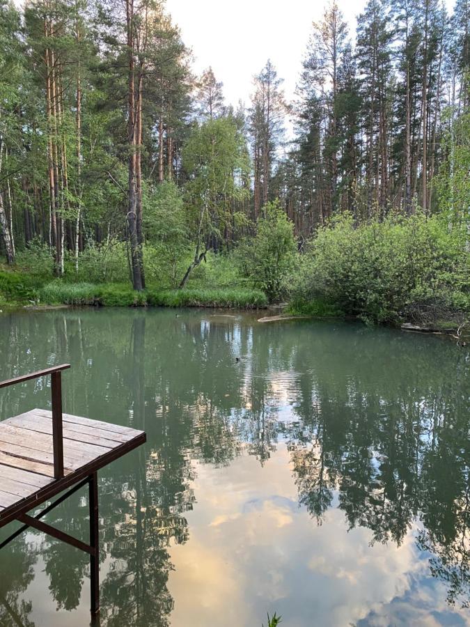 Forest And Holiday home Borovoe