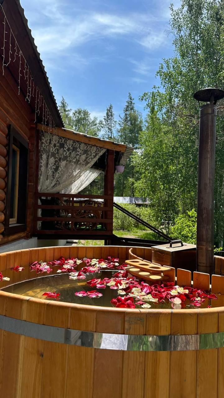 Forest And Holiday home